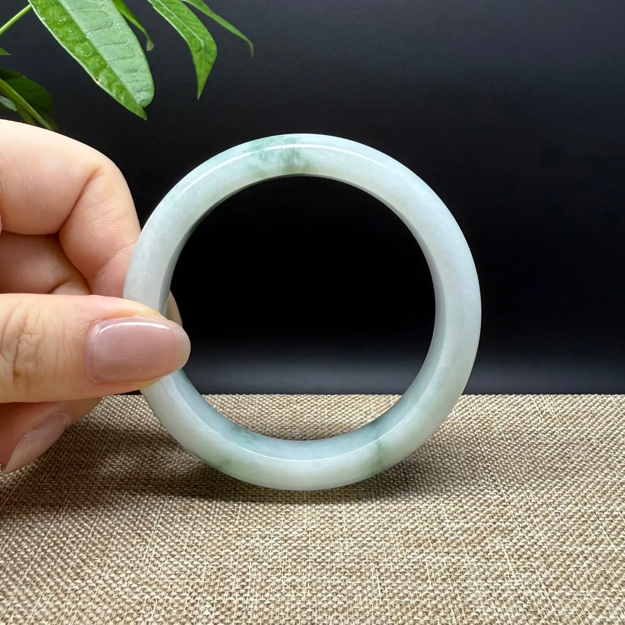 Genuine Burmese White Green Jade Jadeite Bangle Bracelet ( 55.6mm )