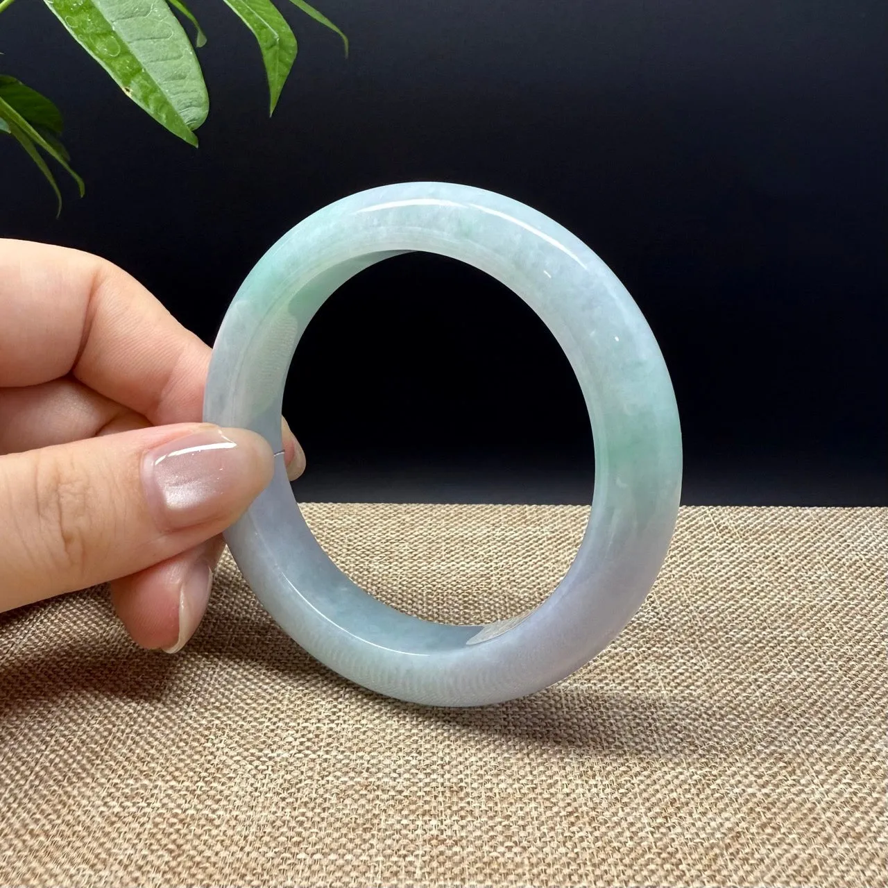 High Genuine Burmese Lavender Green Jade Jadeite Bangle Bracelet ( 53.5mm )