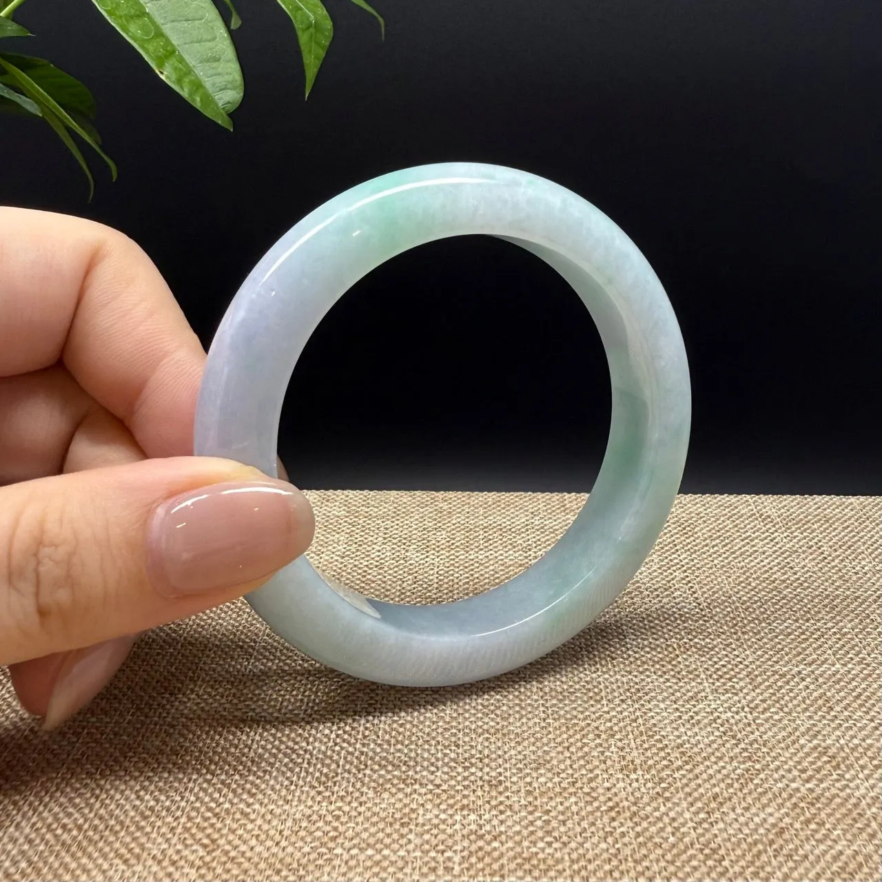 High Genuine Burmese Lavender Green Jade Jadeite Bangle Bracelet ( 53.5mm )