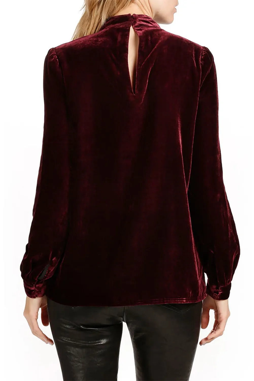 Women's Choker Neck Hollow-out Velvet Blouse